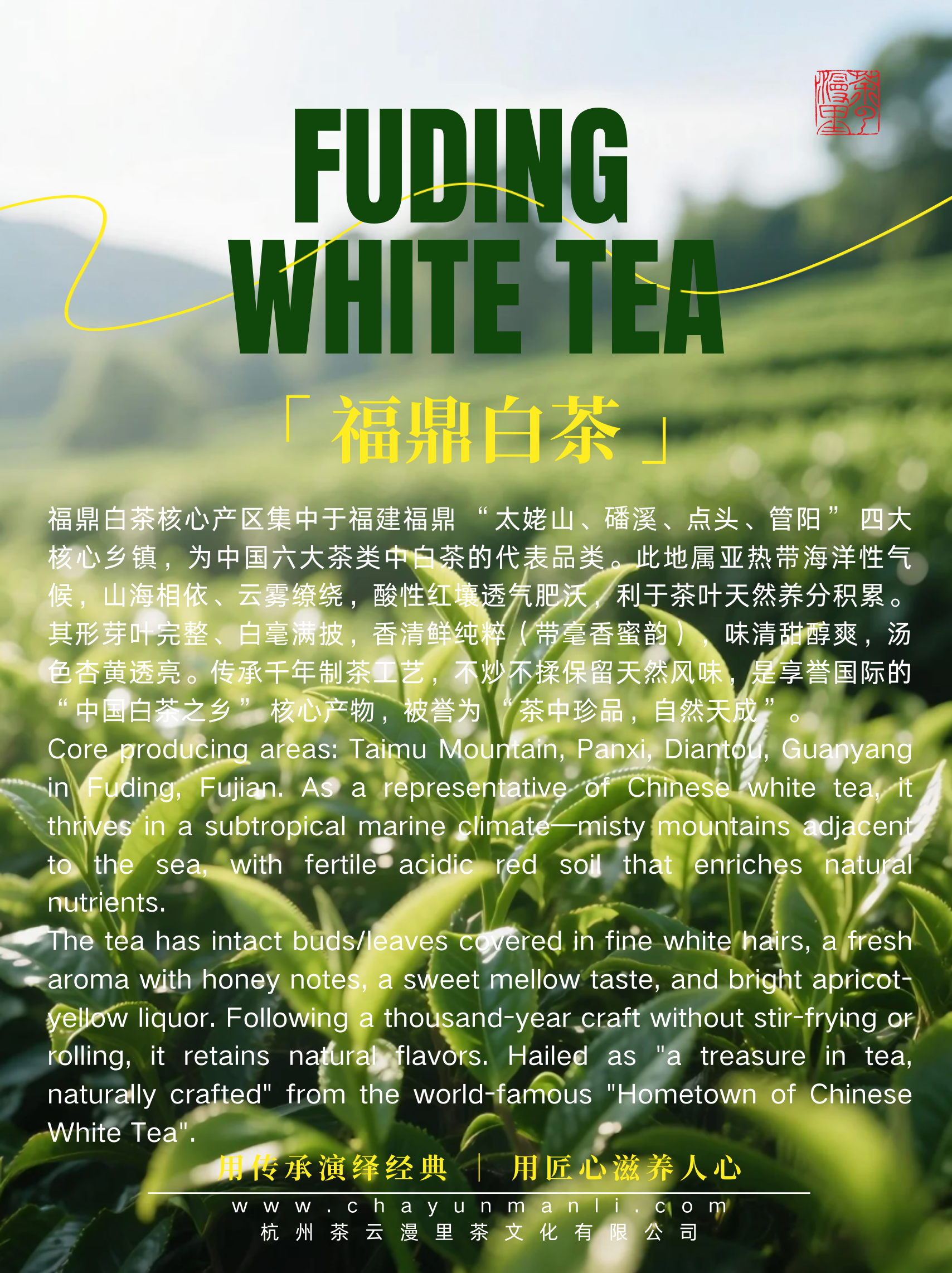 微信图片_20260319215426.png